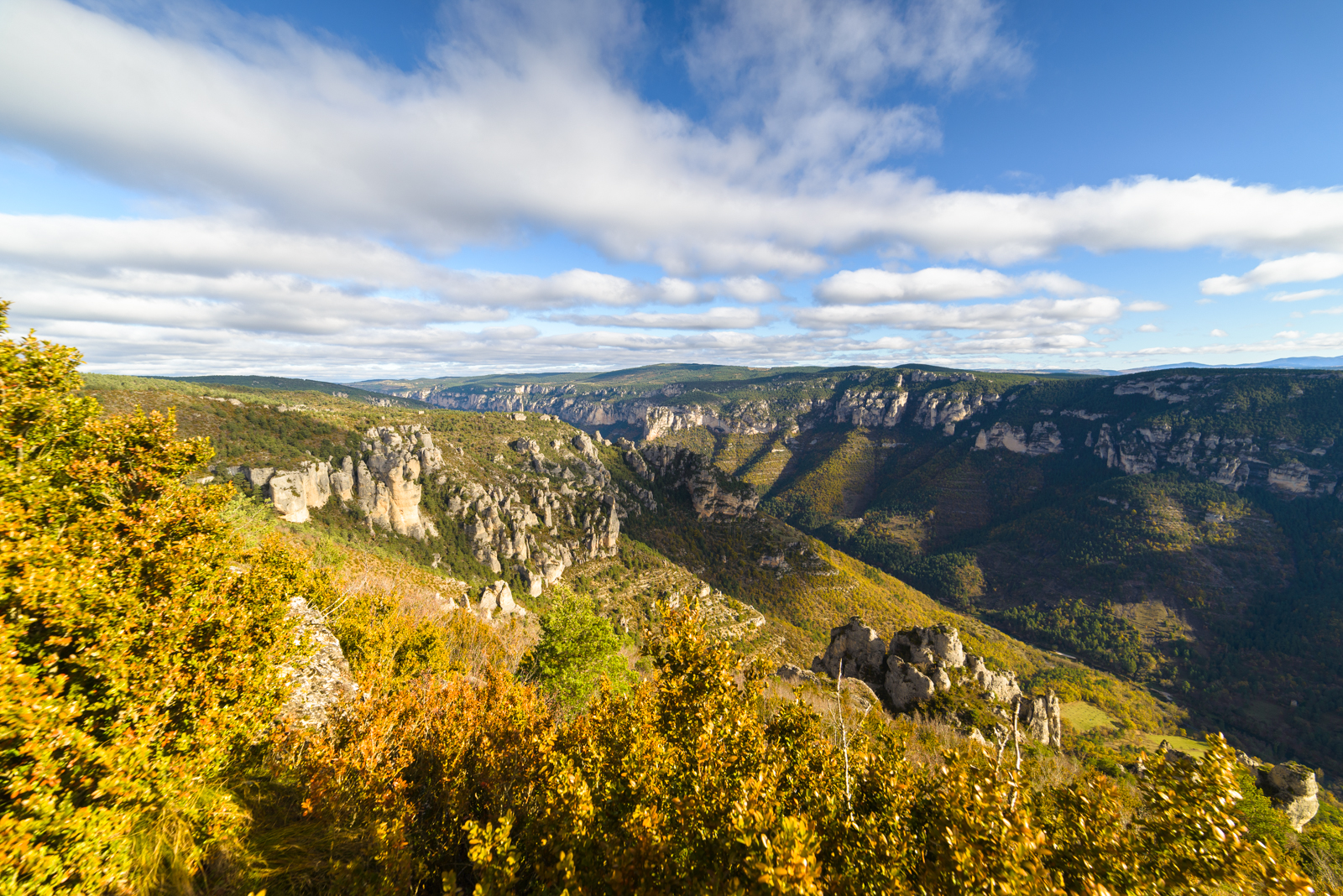 Panorama sur les Gorges du Tarn
